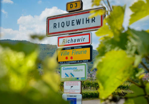 Señal de carretera del pueblo de Riquewihr con premio Ville Fleurie, región vinícola de Alsacia, Francia