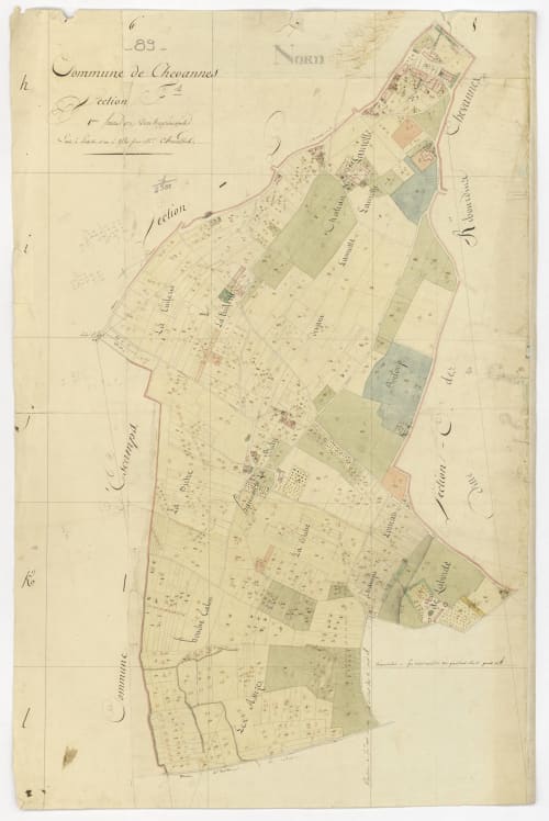 Carte cadastrale historique de la Commune de Chevannes montrant les parcelles et divisions foncières près du Château de Ribourdin