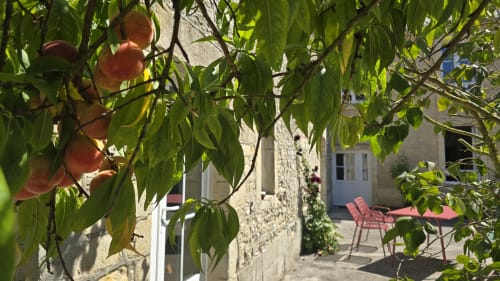 Pêches mûres sur branches d'arbre, chaumière en pierre et chaises rouges au gîte Domaine de la Cour VAUTIER