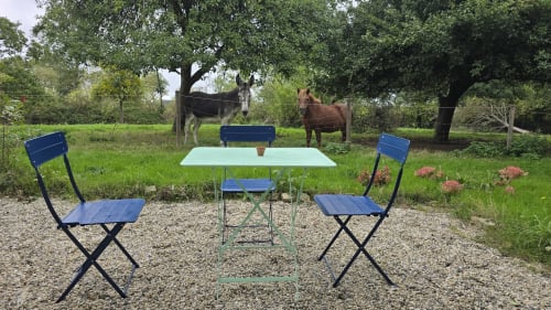 Blue camping chairs and table setup in pastoral grounds with grazing donkeys at Domaine de la Cour VAUTIER
