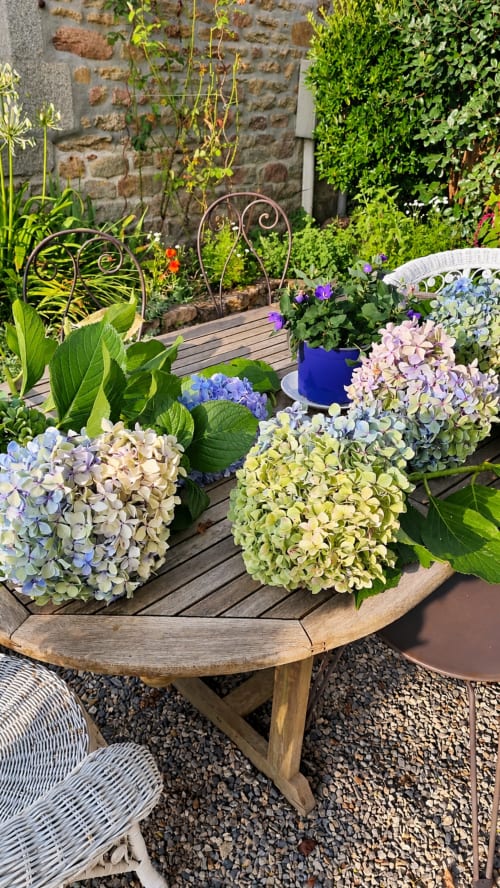 Bouquets d’hortensias aux teintes pastel disposés sur une table en bois dans le jardin fleuri de Ty Coz Breizh, maison d’hôtes à Guidel en Bretagne Sud.