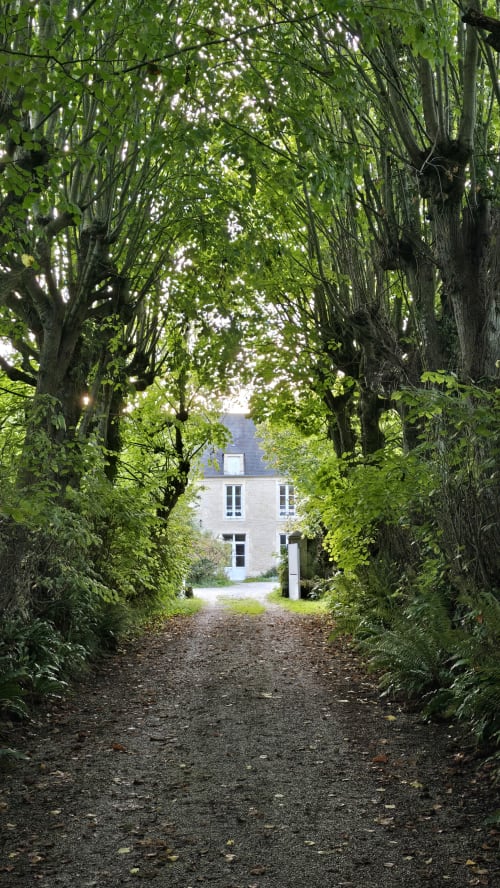 Allée de gravier bordée d'arbres menant à une maison de pierre blanche au Domaine de la Cour Vautier à Mandeville-en-Bessin, Normandie