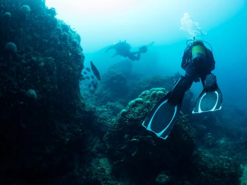 Buzo explorando arrecife de coral cerca de Llafranc, España con fauna marina y formaciones rocosas