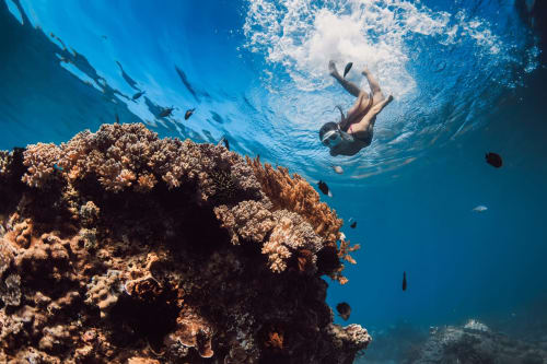 Buceador explorando un arrecife de coral cerca del Hotel La Muntanya en Llafranc, España