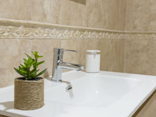 Lavabo moderno con grifo cromado, dispensador blanco de jabón y planta suculenta en maceta en la casa Living Sur de Sanlúcar