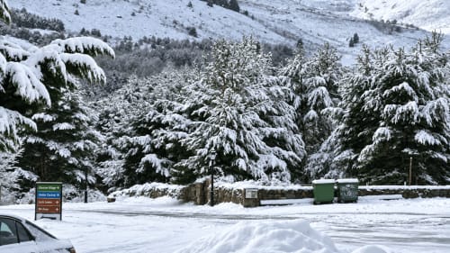 Paisaje de montaña nevada en Altogredos con bosque de pinos cubiertos de nieve y zona de aparcamiento en Hoyos del Espino