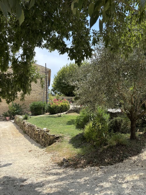 Cour de Mas Provençal à Bollène avec bâtisse en pierre, jardin luxuriant et branches de saule retombantes