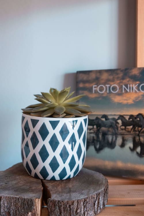 Succulent in geometric patterned pot on wooden stand, EcoHost apartment decor, Matosinhos