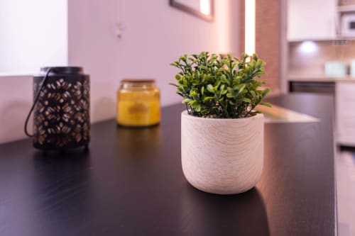 White wooden planter with green plant on dark table at EcoHost Perafita apartment, beside decorative lantern and candle