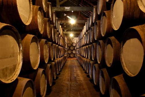 Wine barrel cellar at EcoHost winery in Matosinhos, Portugal with wooden casks lining both sides