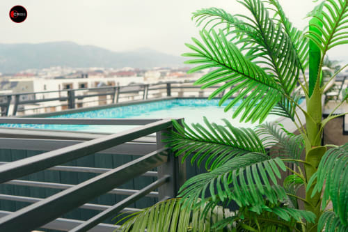 OD Cribs rooftop pool view in Abuja with lush palm plants and city skyline from balcony