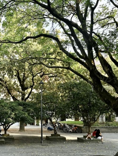 Cortile ombreggiato con grandi alberi a Corte Livia B&B a Forlì, con panchine e biciclette