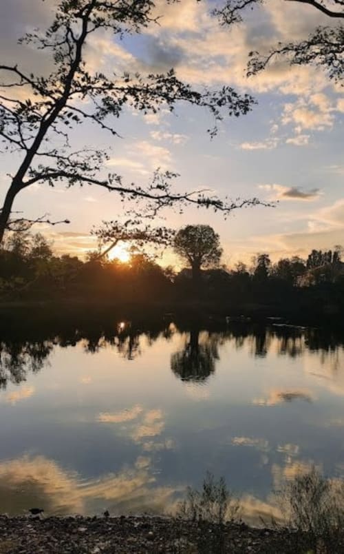 Tramonto sereno sul fiume con alberi silhouettati presso la Corte Livia B&B, Forlì Italia