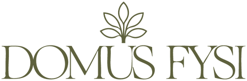 Logo di Domus Fysi con motivo di olivo, una boutique bed and breakfast a Palermo