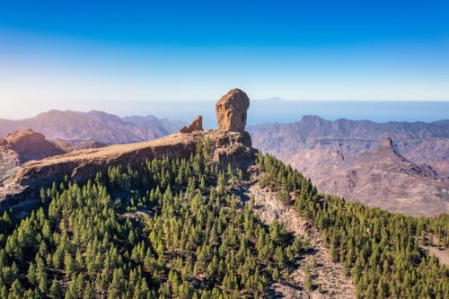 Paisaje de montaña volcánica con bosques de pinos y picos rocosos cerca de Arucas, Las Palmas, España