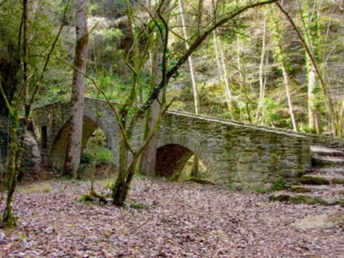 Pont de pedra amb arc cobert de molsa al bosc de Hostal Collsacabra, L'Esquirol