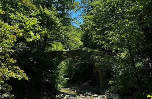Pont de pedra amb arc sobre torrent de muntanya envoltat de bosc abundant a Hostal Collsacabra, L'Esquirol