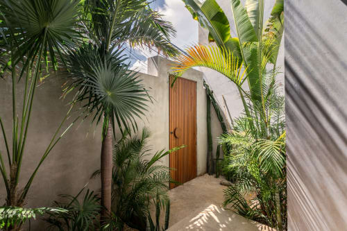 Tropical garden entrance to Casa Copal cottage with lush palms and wooden door at Isla Mujeres Realty, Mexico