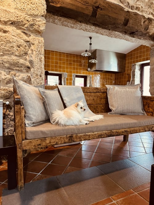 Small white dog resting on rustic wooden sofa with gray cushions in cozy stone cottage living room with terracotta tiles