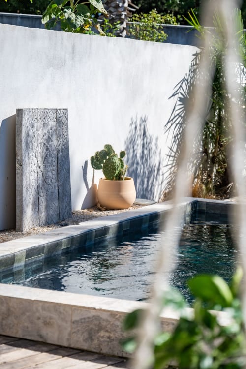 Piscine moderne dans la cour de la villa Domaine Mas Lafleur avec cactus, murs blancs et ombres de palmiers