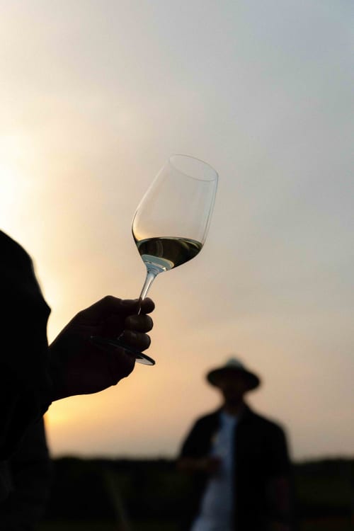 Silhouetted hand holding red wine glass at sunset in Anjou vineyards, Moulin de Gaubourg