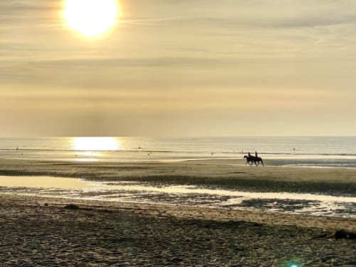 Cavaliers à cheval sur la plage au coucher de soleil, Les Paris Normands, Normandie France