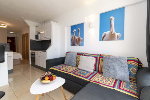 Modern studio apartment in Costa Adeje with black sofa, colorful blanket, white coffee table, kitchenette, and pelican wall