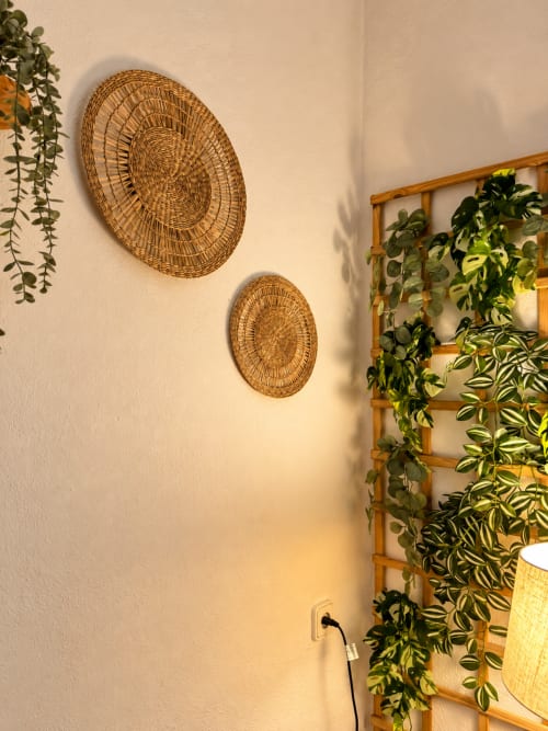 Cestas tejidas en la pared y plantas de hiedra trepadora en habitación de Casa Rural Garden Suites, Xàtiva