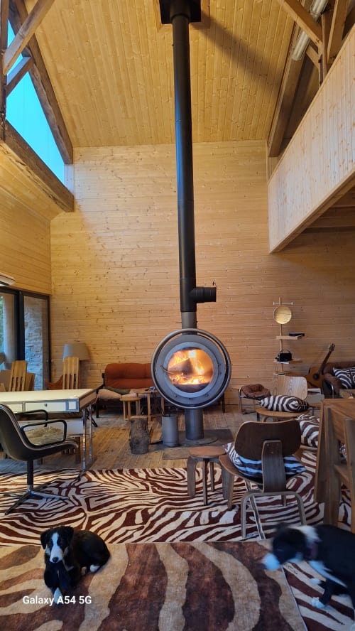 Intérieur chaleureux de chalet en bois avec poêle sphérique suspendu, tapis zèbre et coin salon cosy à Furanelle B&B, Saint Etienne