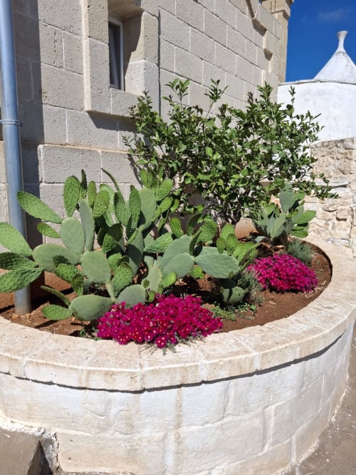 Lussureggiante giardino mediterraneo a Villa Casolare Treggì a Ostuni con fico d'India, fiori fucsia e vasi in pietra