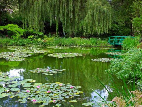 Étang paisible aux nymphéas roses, saules pleureurs et pont vert du jardin de l'Hôtel le Dellys à Colombes