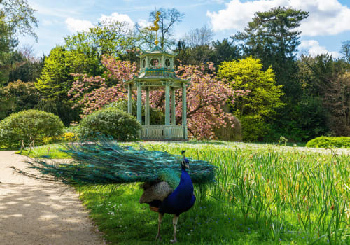 Paon étalant ses plumes près d'un pavillon vert entouré d'arbres en fleurs à l'Hôtel le Dellys, Colombes