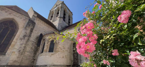 Des roses roses s'épanouissent près de la façade en pierre de l'église de l'Hôtel le Dellys à Colombes, France