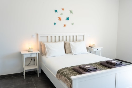 Modern bedroom at Canhoto Douro with white bed, bedside lamp, and colorful bird wall decor