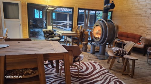 Furanelle BnB lounge with wooden furnishings, fireplace, and zebra rug in Saint Etienne