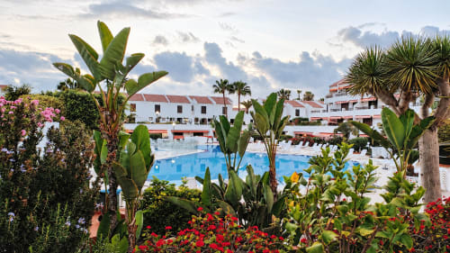 Manage Home Tenerife apartment pool area with tropical gardens and white buildings in Playa de las Américas