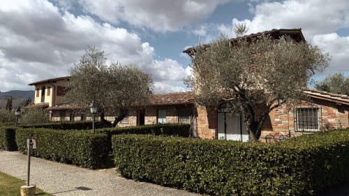 Borgo di Erboli, guesthouse a Cavriglia con edifici in terracotta, ulivi e siepi curate sotto un cielo azzurro