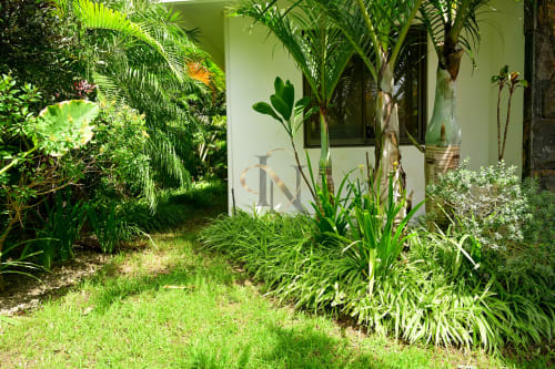 Jardin tropical luxuriant de la villa Gerards & Angel à Grand Baie avec plantes verdoyantes et façade en vert pâle