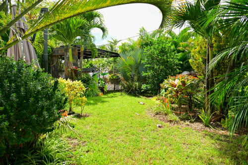 Jardin tropical luxuriant de la villa Gerards & Angel à Grand Baie avec palmiers, pelouse verdoyante et structures en bois