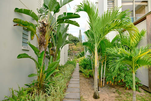 Allée tropicale du jardin Gerards & Angel à Pointe aux Piments, bordée de bananiers et palmiers