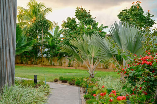 Jardin tropical de Gerards & Angel à Pointe aux Piments avec palmiers, fleurs rouges et pelouse soignée