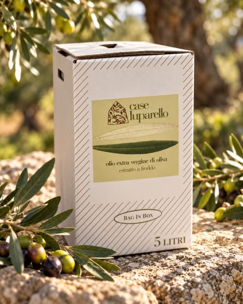Olio extravergine di oliva Case Luparello 5L bag-in-box in un oliveto di Noto, Sicilia