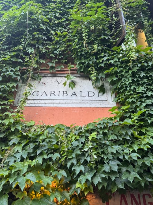 Ingresso monolocale Garibaldi presso Buonanotte Colosseo Roma, facciata ricoperta di edera con fascino rustico
