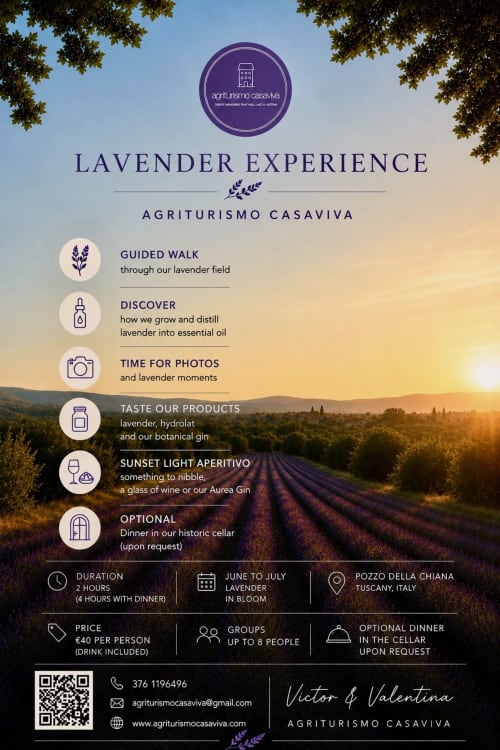 Lavender Experience at Agriturismo CasaViVa in Tuscany featuring guided walks, distillery tour, sunset aperitivo and optional
