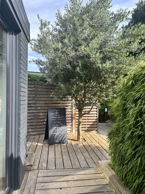 Cour des Gîtes d'Armor avec terrasse en bois, oliviers et bambous à Tréguídel, France