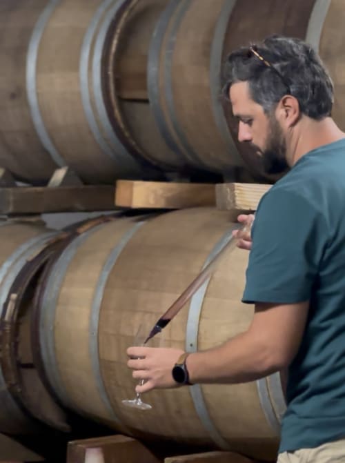 Winemaker inspecting wooden barrels at STAYnGOLF wine cellar, Cagnes sur Mer France