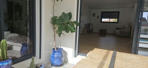 Villa moderne à Mi Casa Es Su Casa à Carcassonne : salon ouvert, parquet, plante en pot bleue