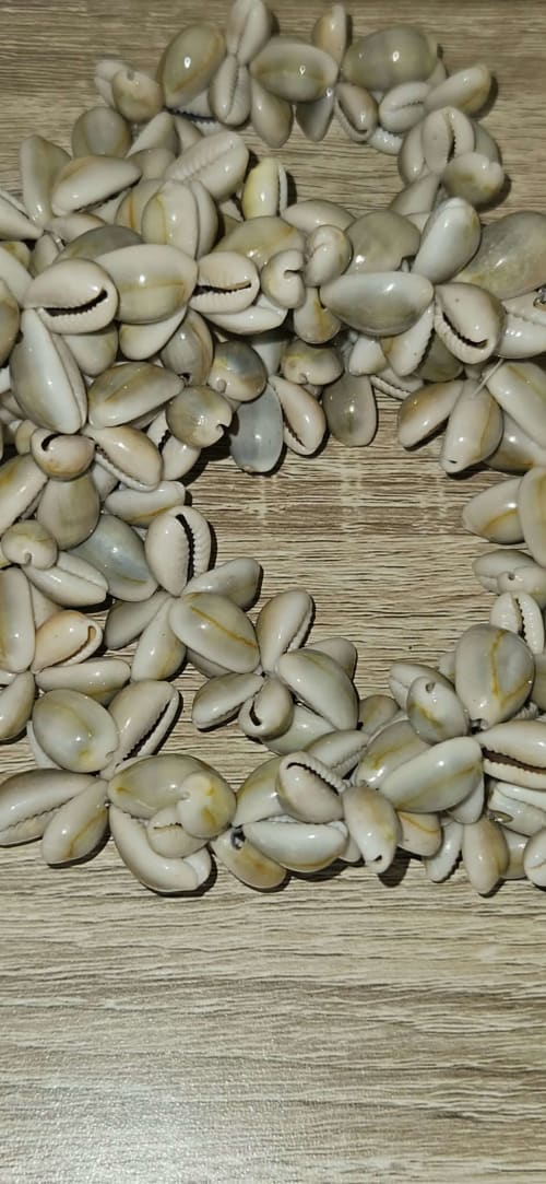 Tas de palourdes fraîches sur surface en bois à Villa Azura à Carcassonne