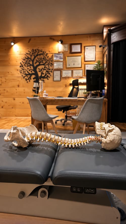 Modello anatomico della colonna vertebrale su lettino da massaggio nel centro benessere dell'Hotel Moderno di Serina BG, con moderno ufficio visibile sullo sfondo