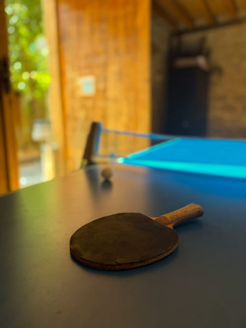 Ping pong paddles and blue net on table at Casas Rurales La Viña rural hotel in Cuzcurrita de Río Tirón, Spain